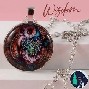 NEW Owl Necklace Glass Owl Pendant on Silver Alloy Chain